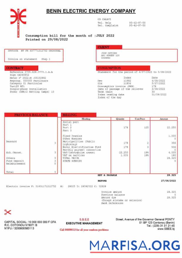 Realistic Benin Electric Company Word and PDF utility bill template